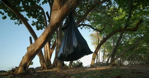 Close-up of plastic bag with garbage hanging on tree in nature. Stock Footage 272404832