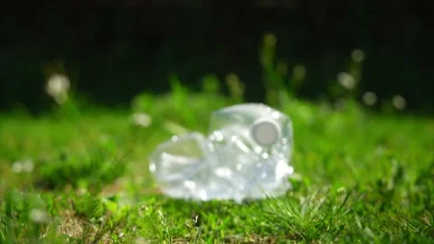 Close up of a plastic bottle on a green grass lawn in a public park Stock Footage 236877105