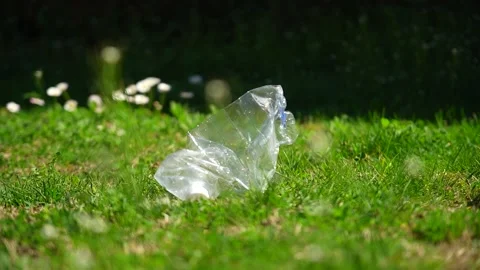 Close up of a plastic bottle on a green grass lawn in a public park Stock Footage 236900992