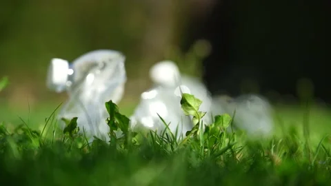 Close up of a plastic bottle on a green grass lawn in a public park Stock Footage 236900994