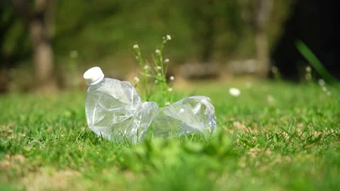 Close up of a plastic bottle on a green grass lawn in a public park Stock Footage 236901250