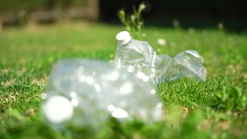 Close up of a plastic bottle on a green grass lawn in a public park Stock Footage 236901469