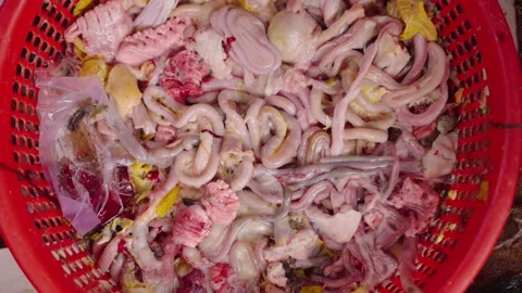 Close-up of a plastic container filled with animal entrails and internal organs Stock Footage 278375177