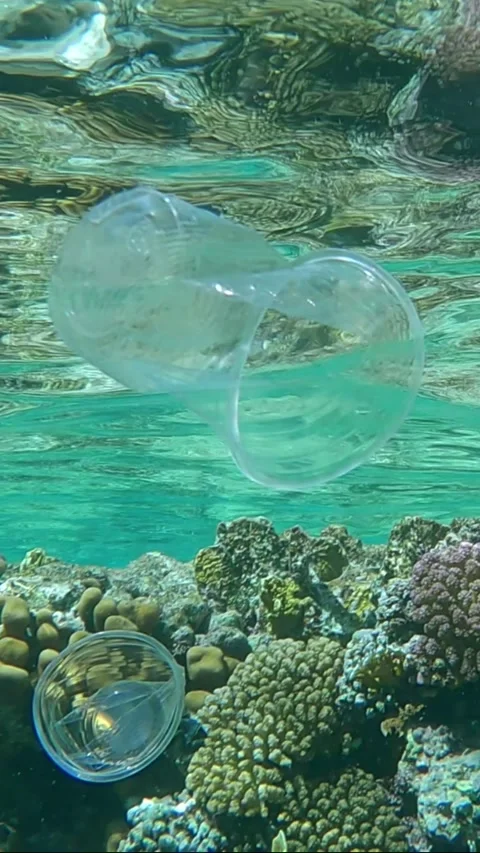  Close-up of a plastic cups slowly drifts under water surface towards a reef Stock Footage 233900683