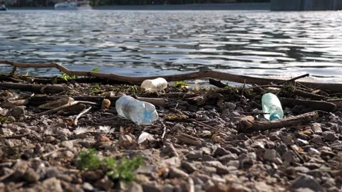 Close-up of plastic garbage, bottles and bags on the riverbank. Stock Footage 311153788