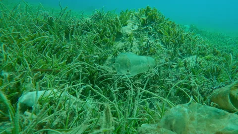 Close up of plastic garbage covers green seagrass bed with Noodle sea grass Stock Footage 332240189