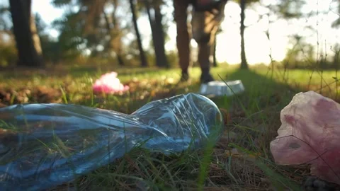 Close-up of plastic litter on grass in a forest with a person cleaning up trash  Stock Footage 295221522