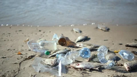 Close up of plastic pollution on the beach. Plastic pollution and environmental Видео 254592191