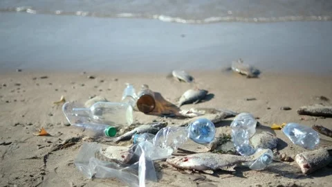 Close up of plastic pollution on the beach. Plastic pollution and environmental Vídeo Stock 254697762