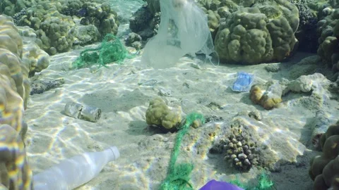 Close up of plastic pollution on beautiful shallow coral reef, Slow motion Stock Footage 243445232