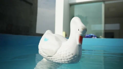 Close-up of a plastic swan floating in a pool at a beach house at daytime in 4k Video stock 172268653