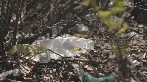 Close-up of plastic waste on ground in nature setting Stock Photos