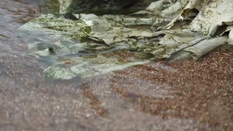 Close-up plastic white bag floats in the water. Environmental pollution. Plastic Stock Footage 197468099