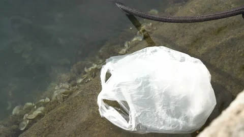 Close-up plastic white bag floats in the water. Environmental pollution. Plastic Stock Footage 197468141