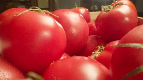 Close-up of a plate with fresh red tomatoes Stock Footage 218244336