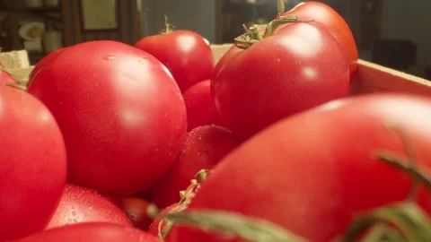 Close-up of a plate with fresh red tomatoes Stock Footage 221310902