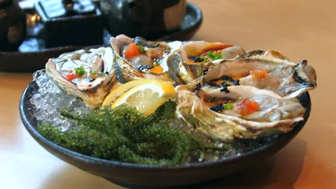 Close-up of plated seafood dish with fresh oysters, roe, lemon slices, Stock-Footage 292285836