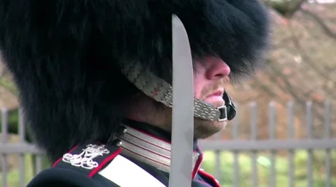 Close up of platoon commander of the royal danish guards Stock Footage 45841531