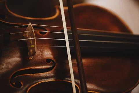 Close up playing violin isolated on studio background. Inspired musician, det Stock Photos
