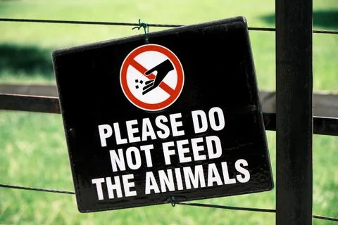 Close-up of Please Do Not Feed The Animals sign hung on a fence Foto stock