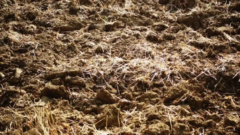 Close up of Plowed and fertilized soil Stock Footage 80916768