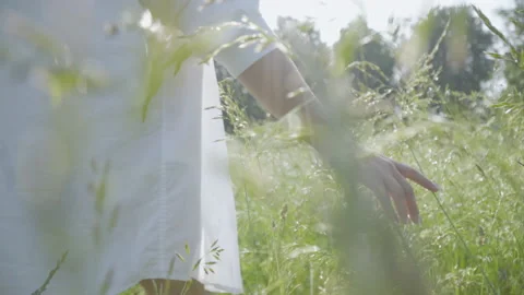 Close-up of plump female hand touching green grass on sunny meadow Stock Footage 136797657