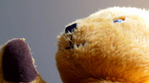 A close-up of a plush teddy bear, showing its soft fur, fuzzy details, and Stock Footage 301384035