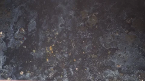 Close-Up of Polluted Water Surface with Oil and Debris Stock Footage 345334294
