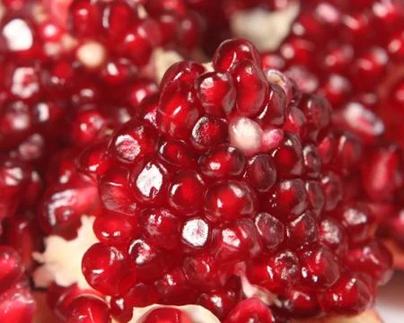 Close-up of pomegranate Foto stock