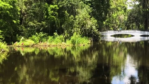 A close up of a pond Stock Footage 155592365