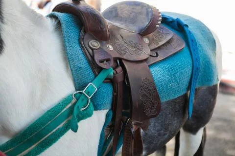 Close up of pony saddle Stock Photos