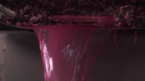 Close up of a pool of pressed wine and juices pouring. Stock Footage 153813035
