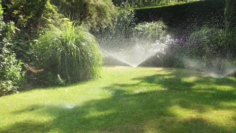 Close Up of the pop ups in the lawn Stock Footage 195994026