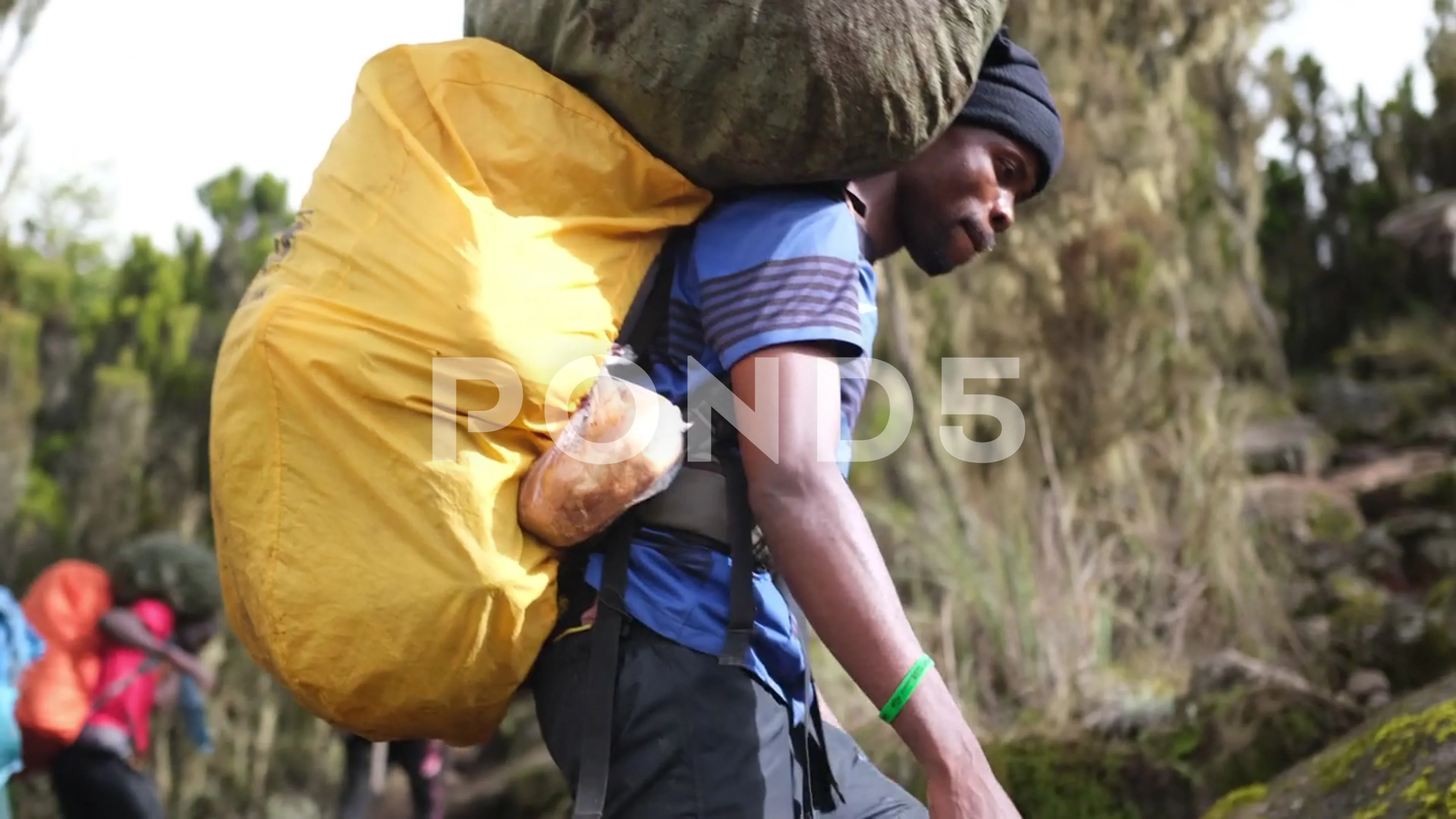 Carrying Heavy Equipment Express Delivery insightcampus.co.kr