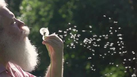 Close up portrait of bearded senior man blowing on dandelions. Vídeos de archivo 109754302
