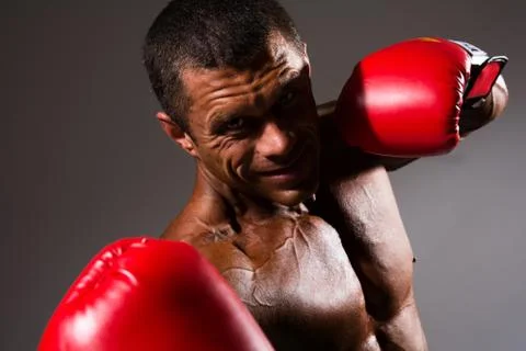 Close-up portrait of a boxer Stock Photos