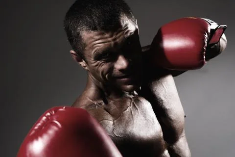 Close-up portrait of a boxer 写真素材