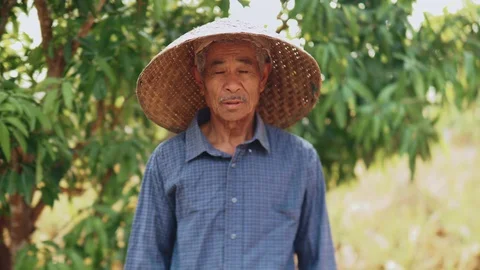 A close up portrait of a farmer looking at camera. Stock Footage 125478557