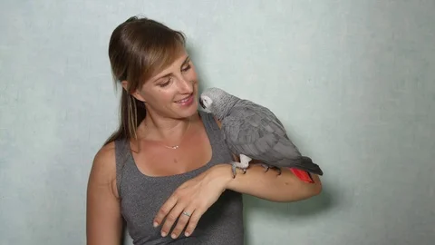 CLOSE UP: Portrait of lovable African grey parrot sitting on young girl's hand Stock Footage 70742490
