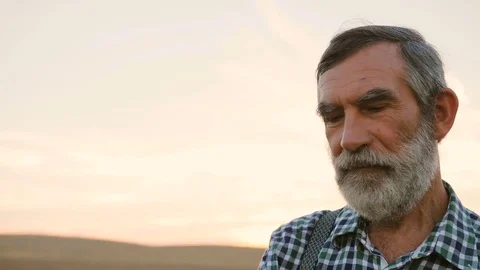Close up portrait of old fermer with beard in the hat in the golden field on the Stock Footage 78812379