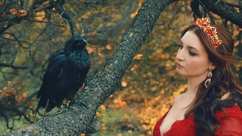 Close-up portrait queen goes to bird. looking with love tenderness. wild raven Stock Footage 121885820