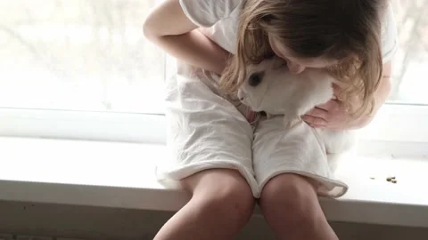 Close-up portrait of a rabbit Stock Footage 151333156