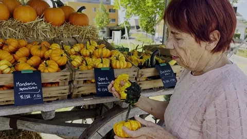 Close-up portrait of a senior lady examining a small decorative pumpkin in .. Vídeo Stock 345263083