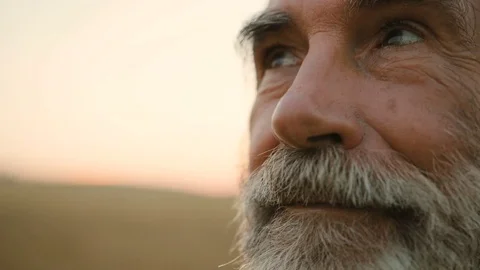 Close up portrait of senior man with beard looking to the camera in the golden Video stock 78816259