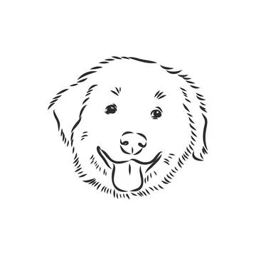 Close-up portrait of sitting dog. Vector engraved art. Friendly smiling puppy Stock Illustration