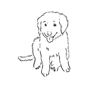 Close-up portrait of sitting dog. Vector engraved art. Friendly smiling puppy Stock Illustration