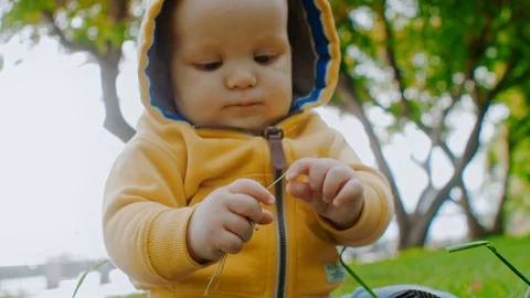 Close-up portrait: a small child boy sitting in a green glade in the Park Video stock 119329837