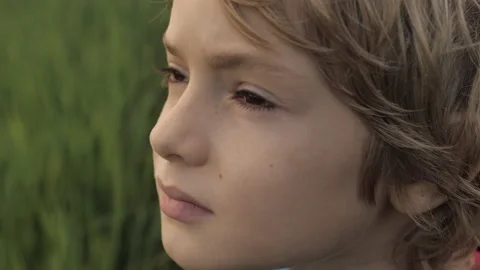 Close up portrait of smiling child looking at sky in summer day Stock Footage 94871535