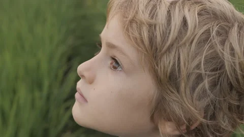 Close up portrait of smiling child looking at sky in summer day Stock Footage 94874650