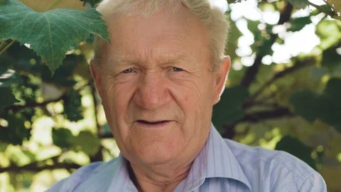 Close up portrait of the smiling senior at vineyard 4K Stock Footage